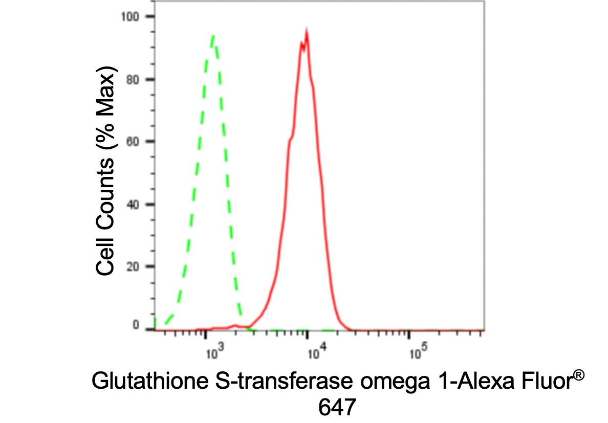 GSTO1 Antibody (24GB3735)