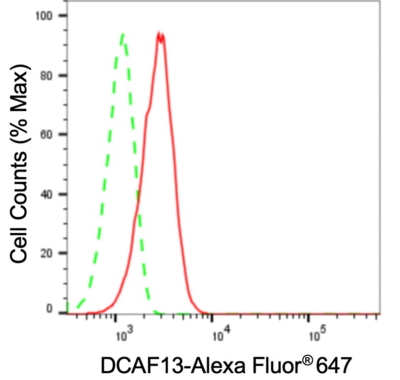 WDSOF1 Antibody (24GB3745)