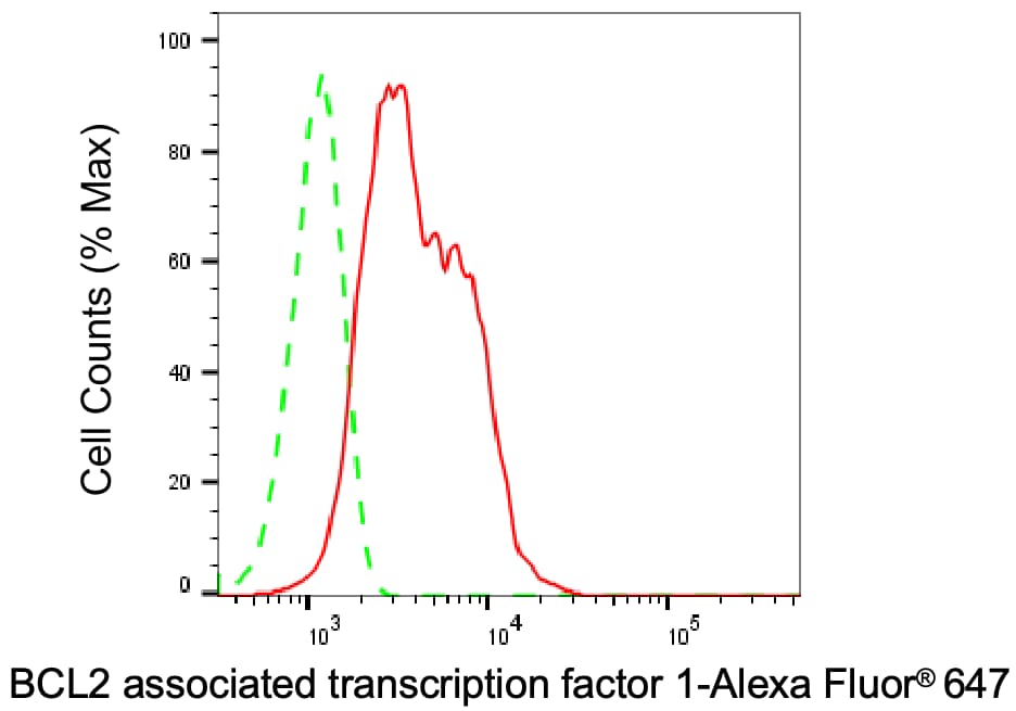 BTF Antibody (24GB3750)