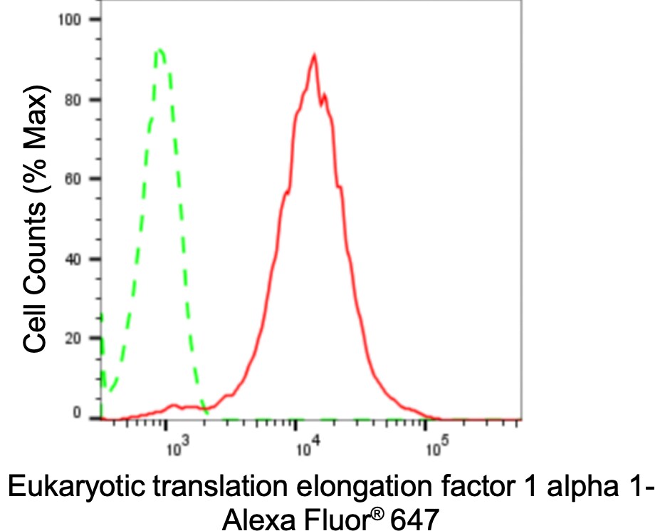 eEF1A1 Antibody (24GB3775)