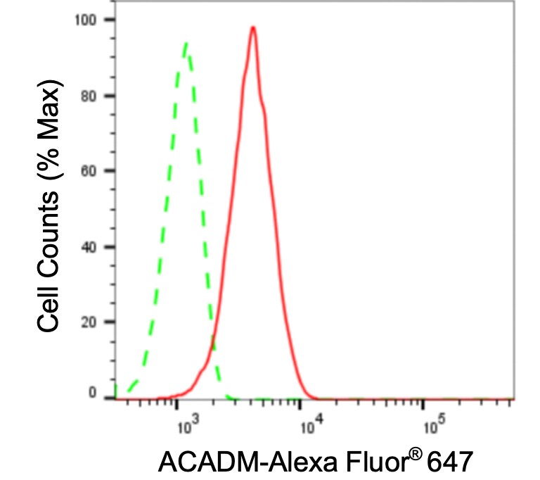 ACADM Antibody (24GB3800)