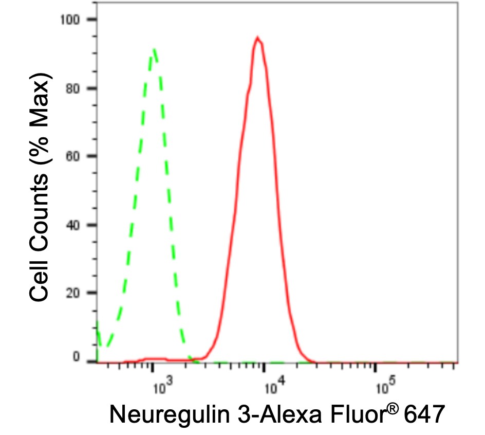 Neuregulin-3/NRG3 Antibody (24GB3810)