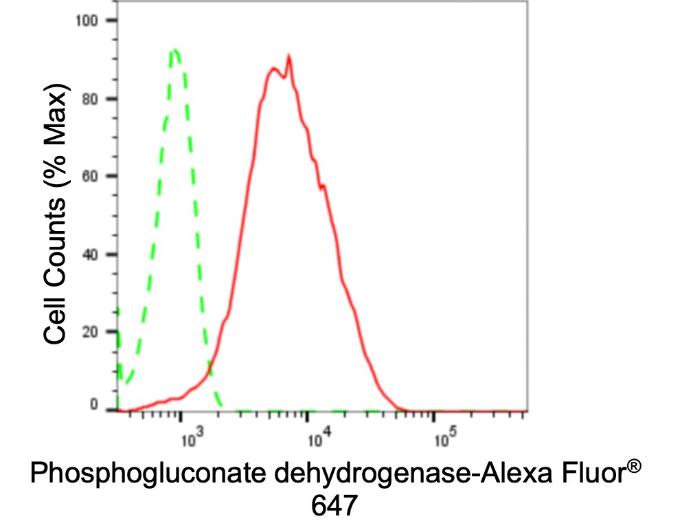 PGD Antibody (24GB3850)