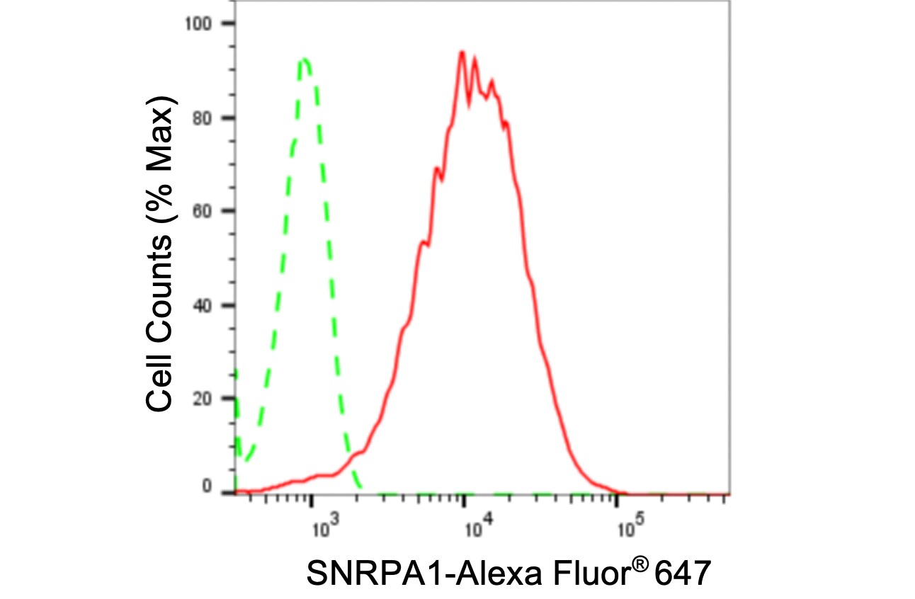 SNRPA1 Antibody (24GB3855)