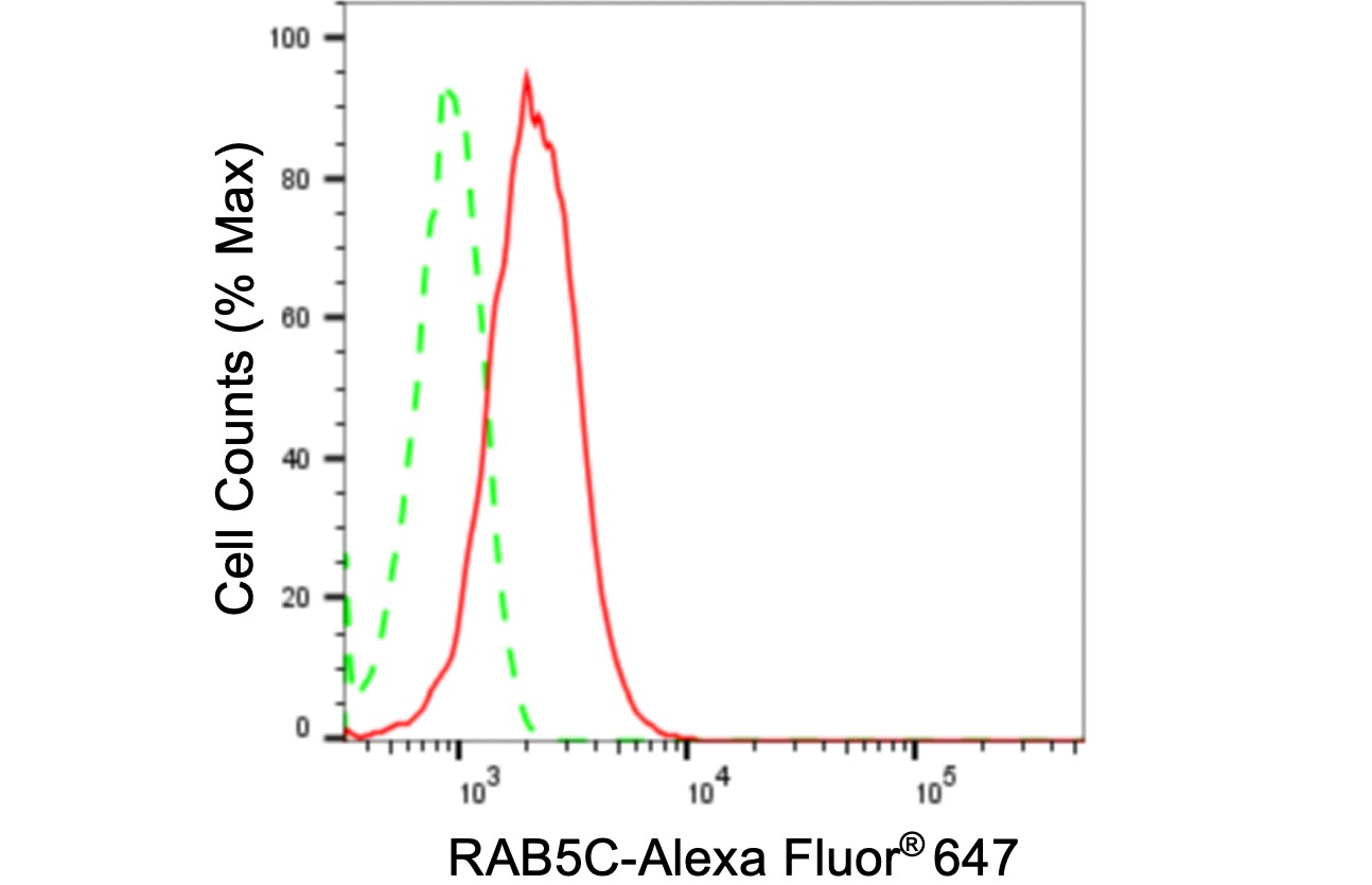 RAB5C Antibody (24GB3875)