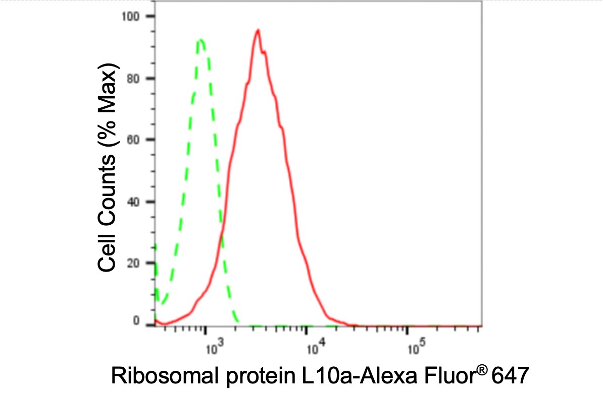 RPL10A Antibody (24GB3895)