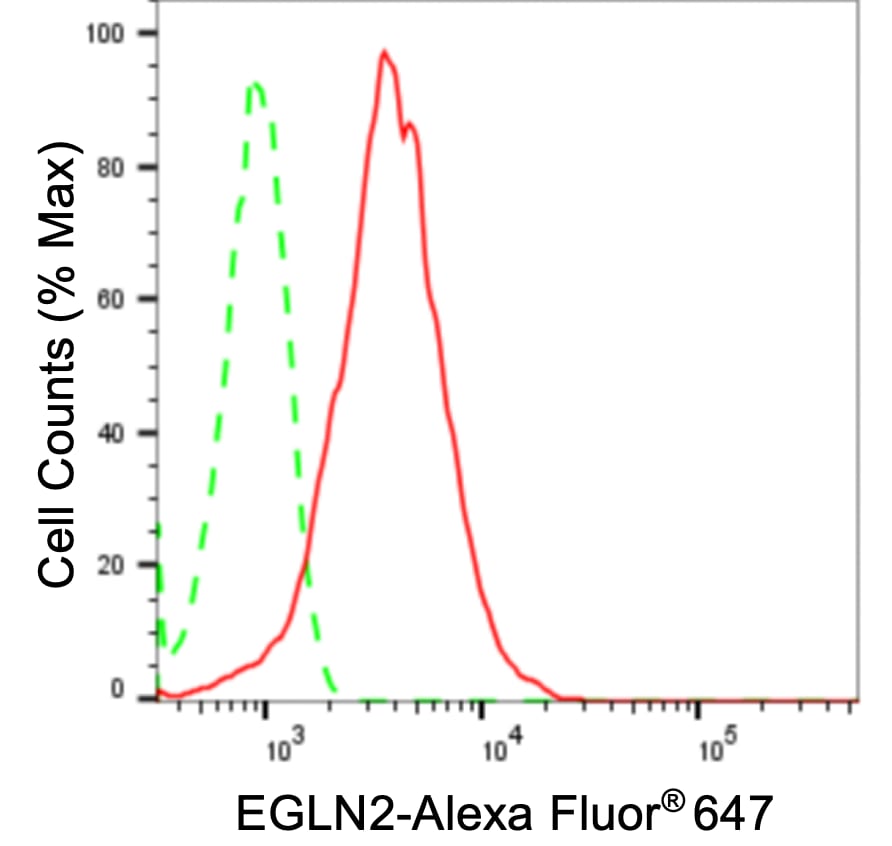 EGLN2/PHD1 Antibody (24GB3910)