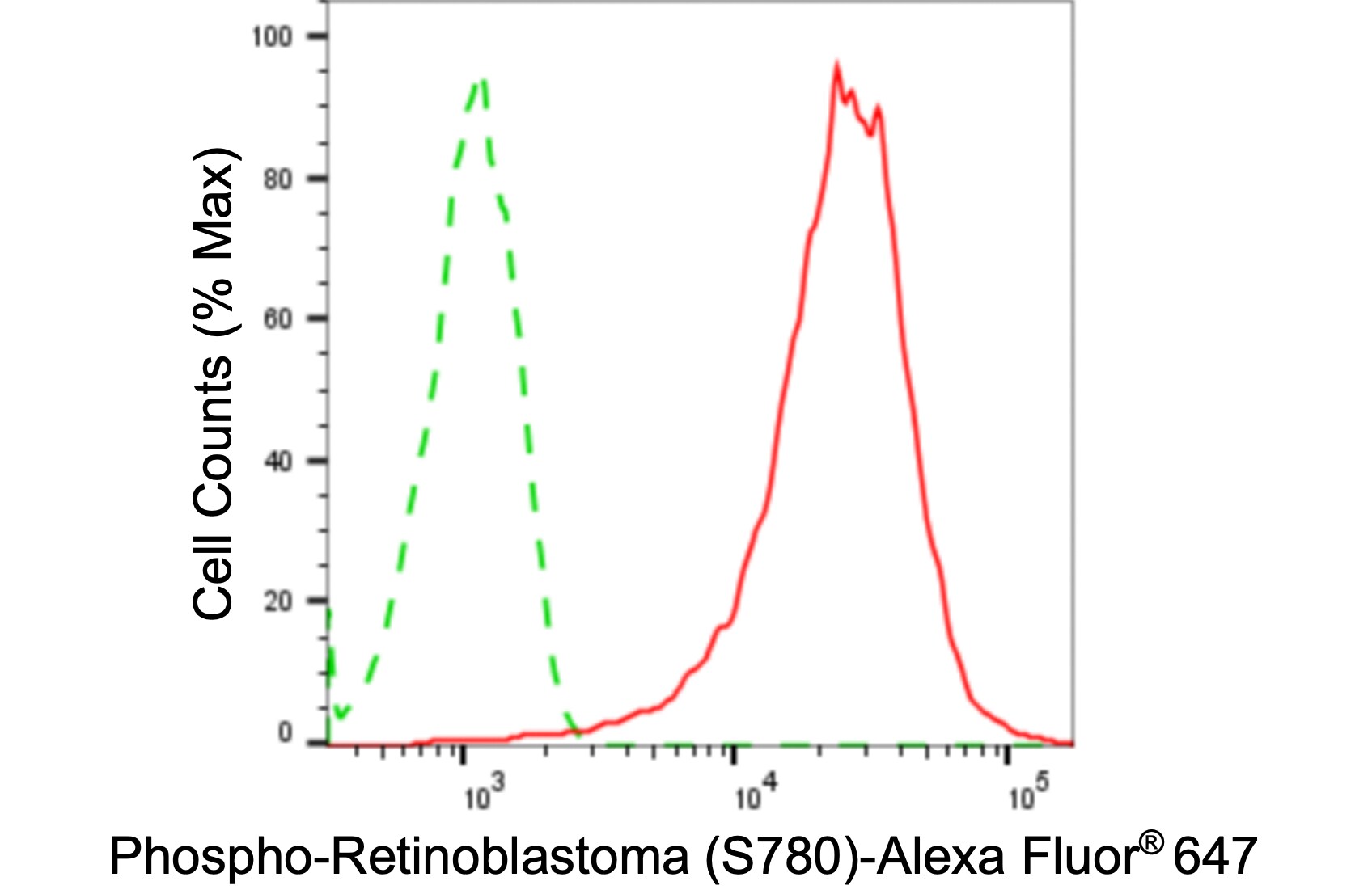 RB1 [p Ser780] Antibody (24GB3950)