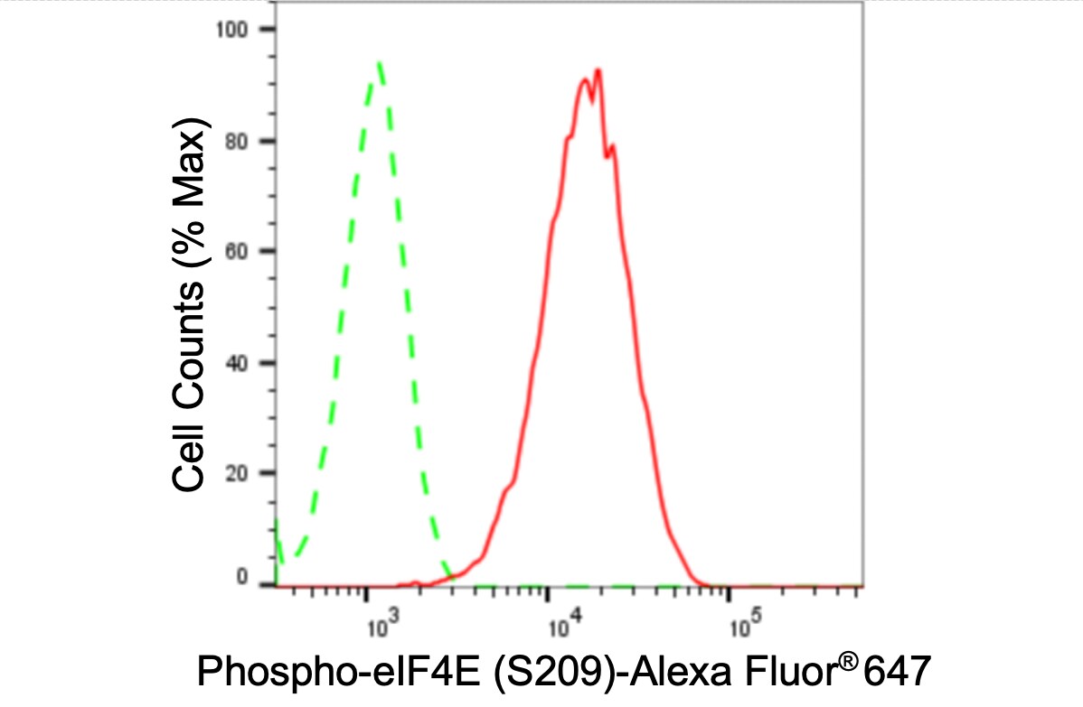 eIF4E [p Ser209] Antibody (24GB3975)