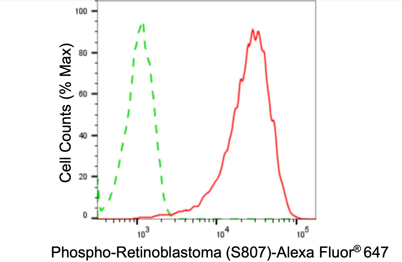 RB1 [p Ser807] Antibody (24GB3985)