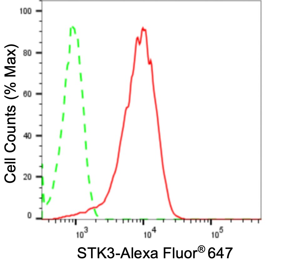 MST2/STK3 Antibody (24GB4010)