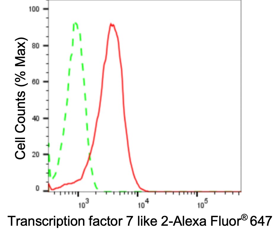 TCF7L2 Antibody (24GB4025)