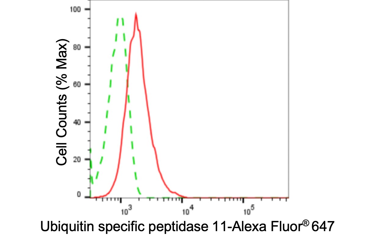 USP11 Antibody (24GB4075)
