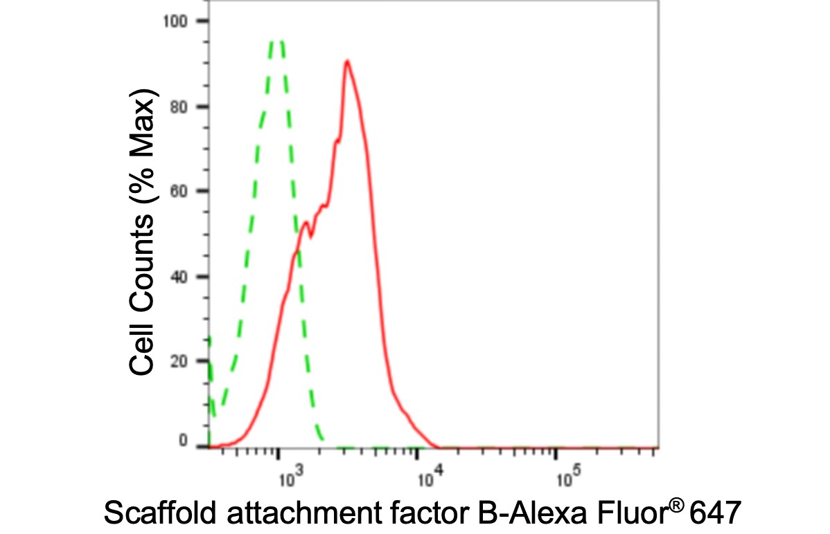 SAFB Antibody (24GB4110)