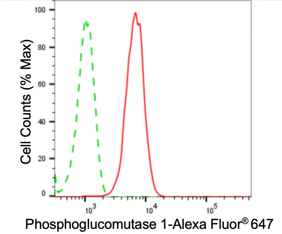 PGM1 Antibody (24GB4115)
