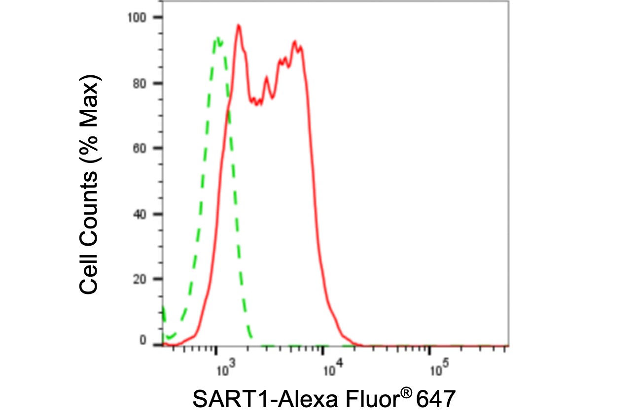 SART1 Antibody (24GB4210)