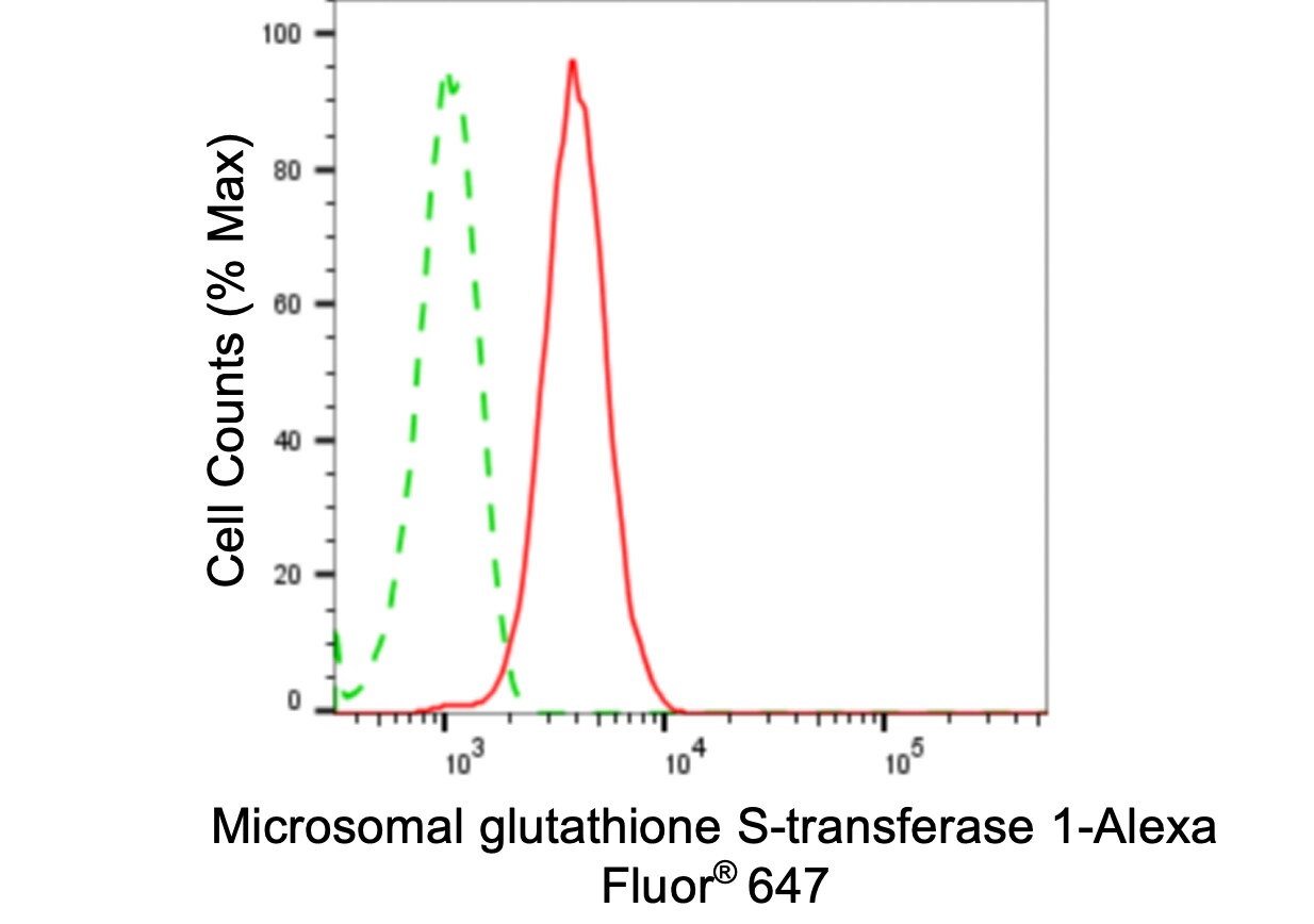 Microsomal Glutathione S-transferase 1 Antibody (24GB5110)