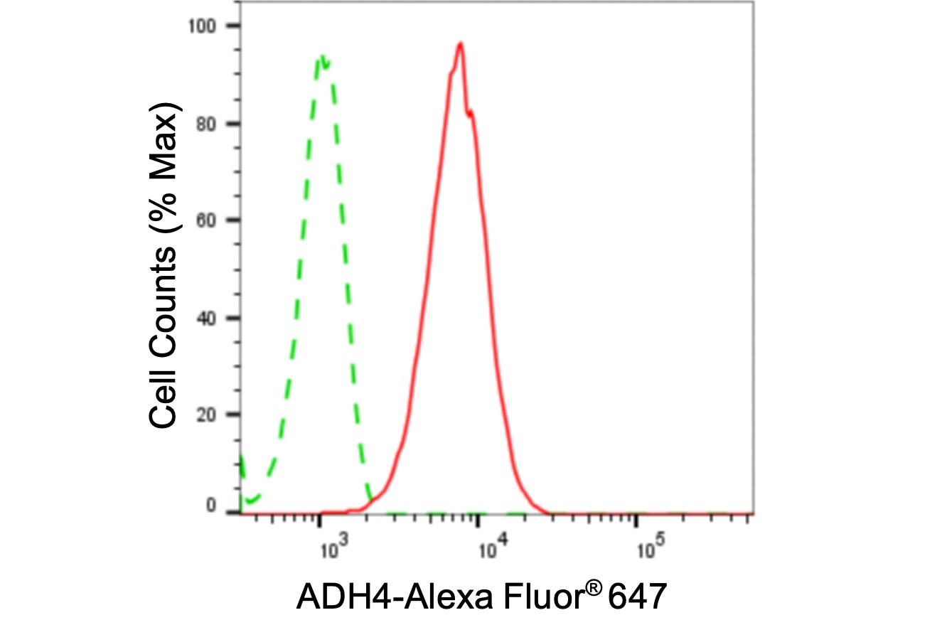 alcohol dehydrogenase 4 Antibody (24GB5120)