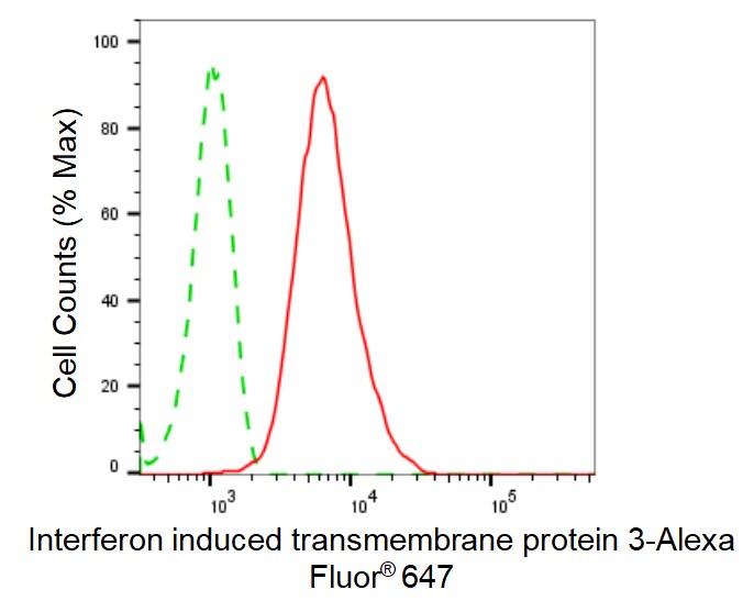 IFITM3/Fragilis Antibody (24GB5155)