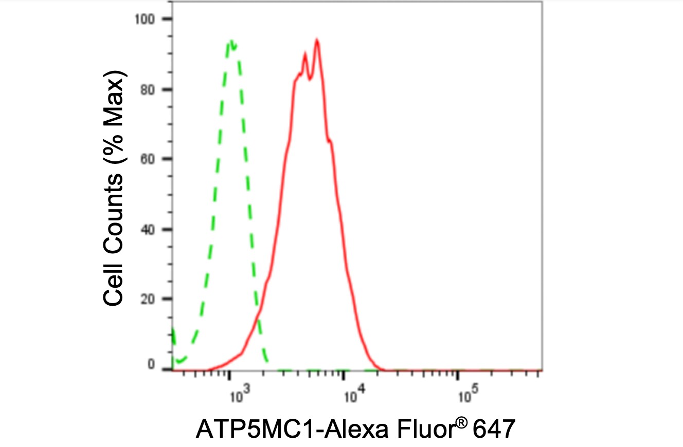ATP synthase C mature Antibody (24GB5160)