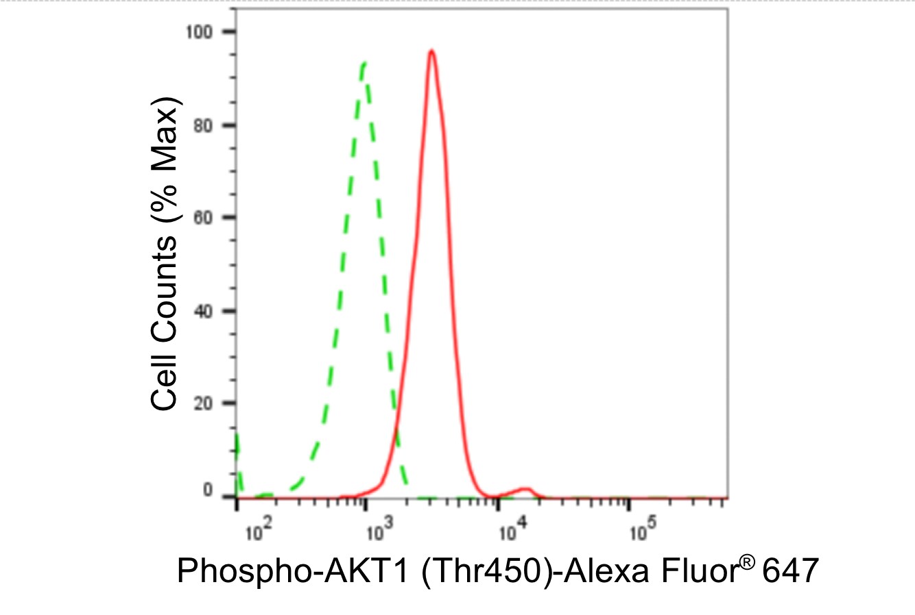 AKT1 [p Thr450] Antibody (24GB4255)