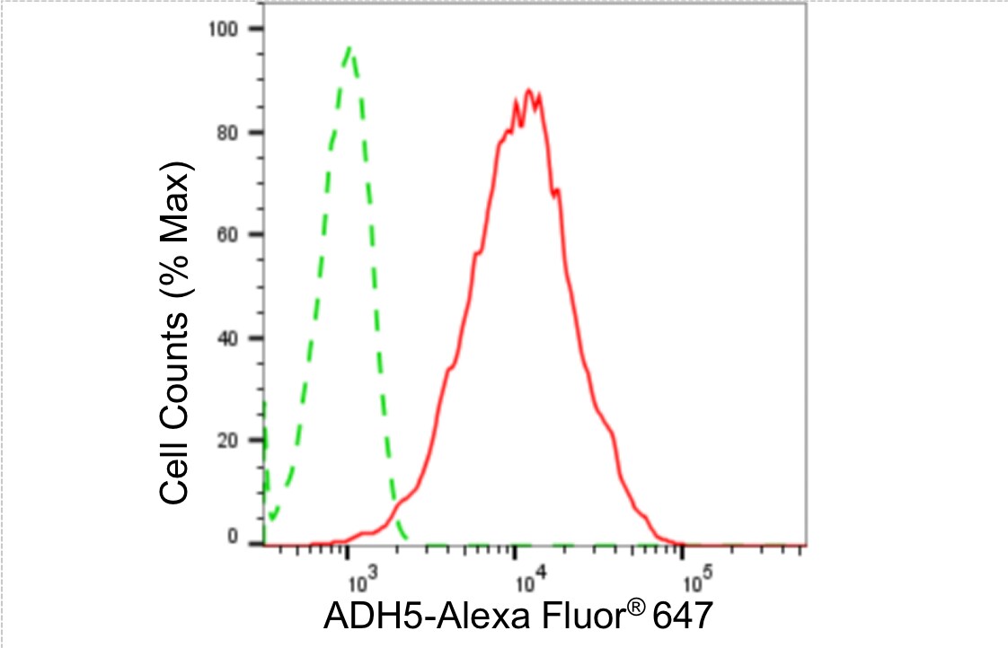 alcohol dehydrogenase 5 Antibody (24GB4695)