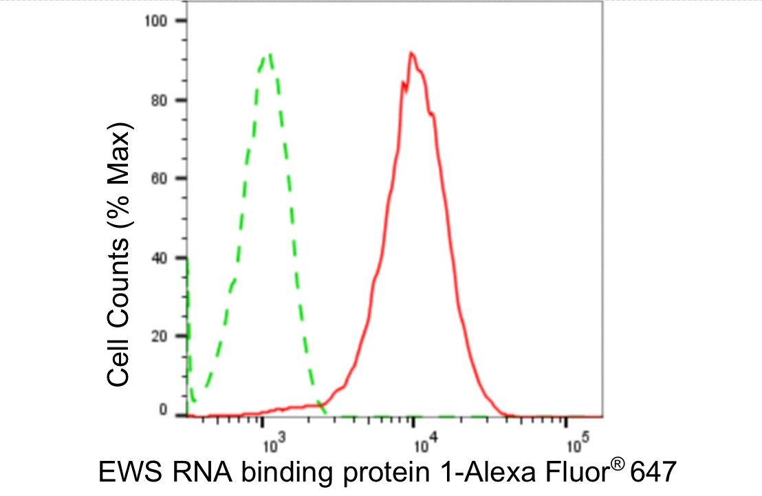 EWSR1 Antibody (24GB4830)
