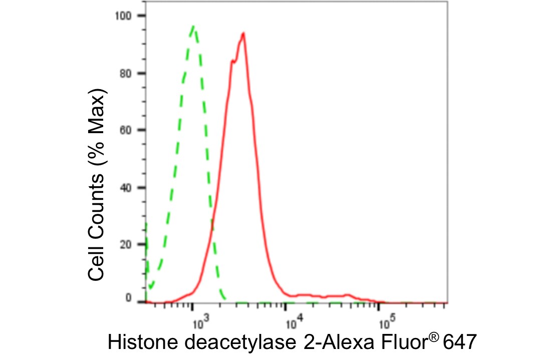 Histone Deacetylase 2/HDAC2 Antibody (24GB4885)