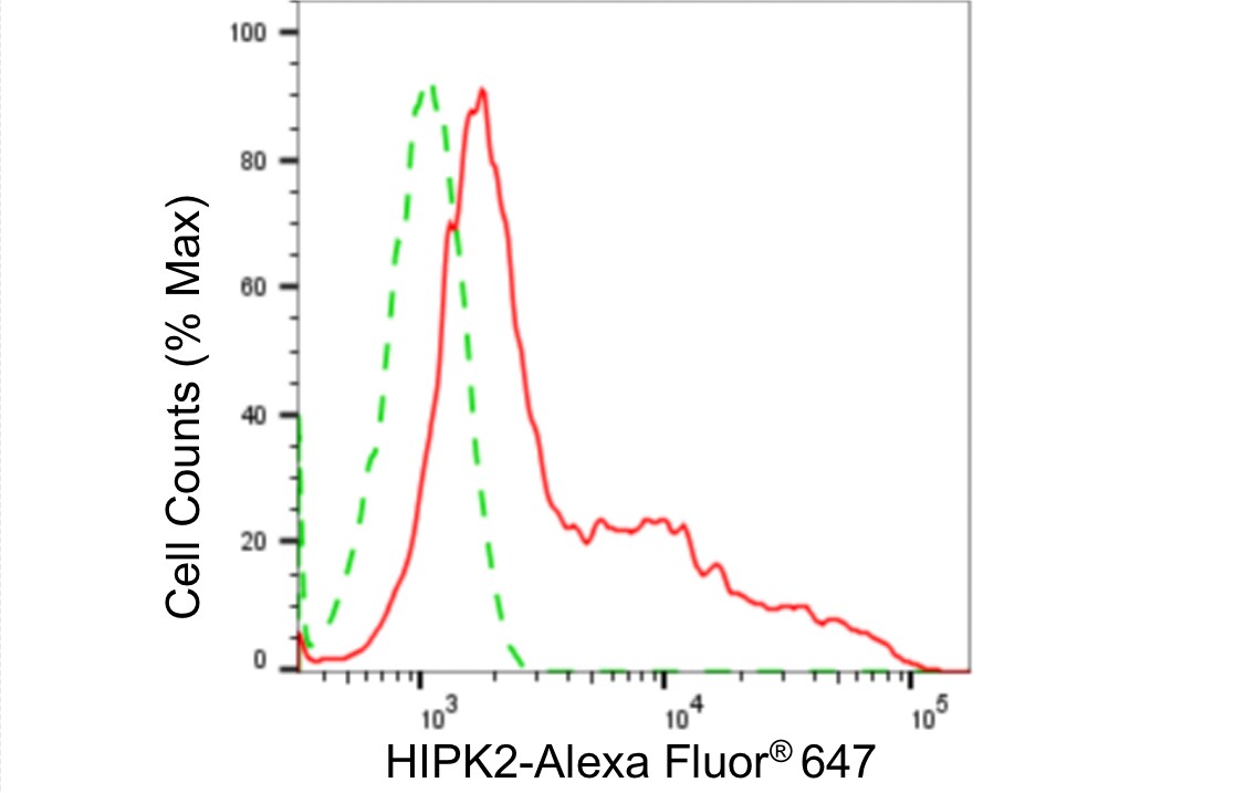 HIPK2 Antibody (24GB4890)