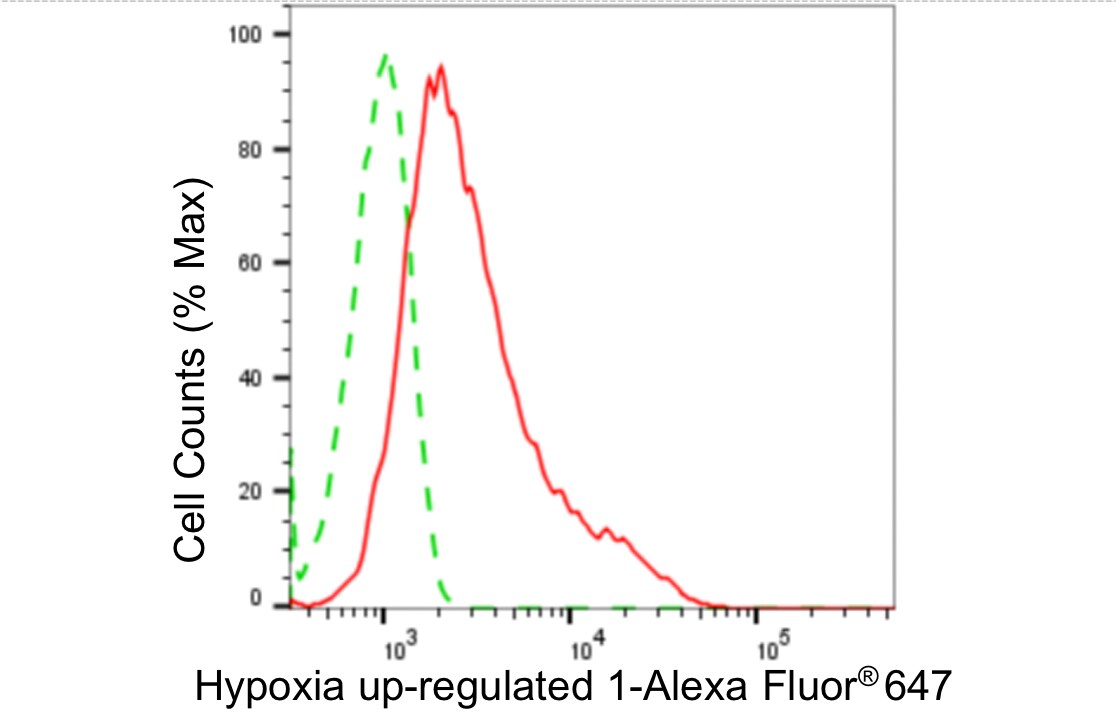 ORP150/HSP12A Antibody (24GB4905)