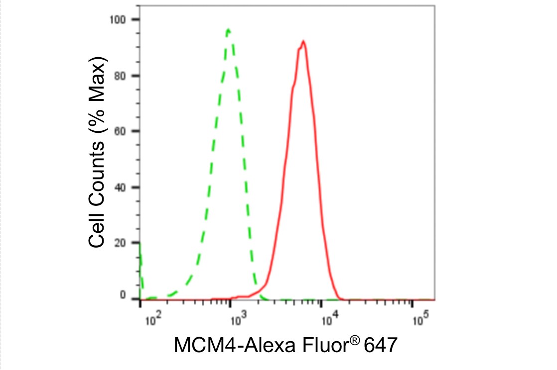 MCM4 Antibody (24GB4960)