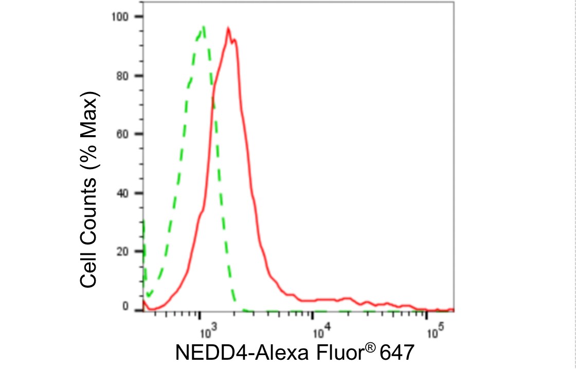NEDD4 Antibody (24GB4990)