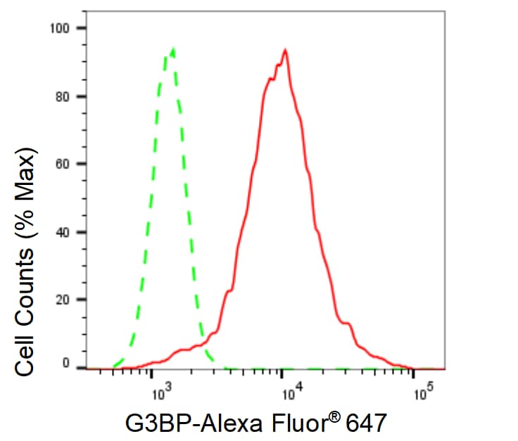 G3BP1 Antibody (23GB1725)