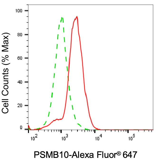 PSMB10/MECL1 Antibody (24GB5050)