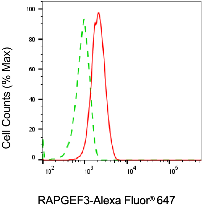 RAPGEF3 Antibody (24GB5060)