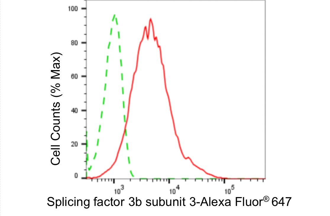 SAP130 Antibody (24GB5085)