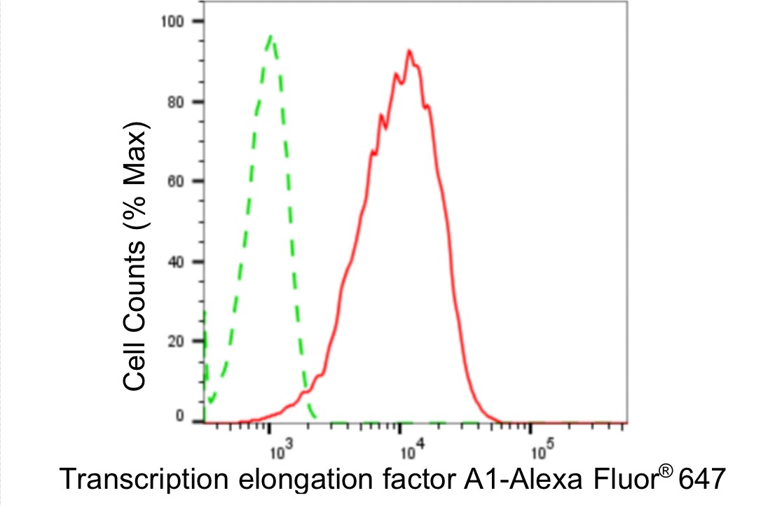 TCEA1 Antibody (24GB5105)
