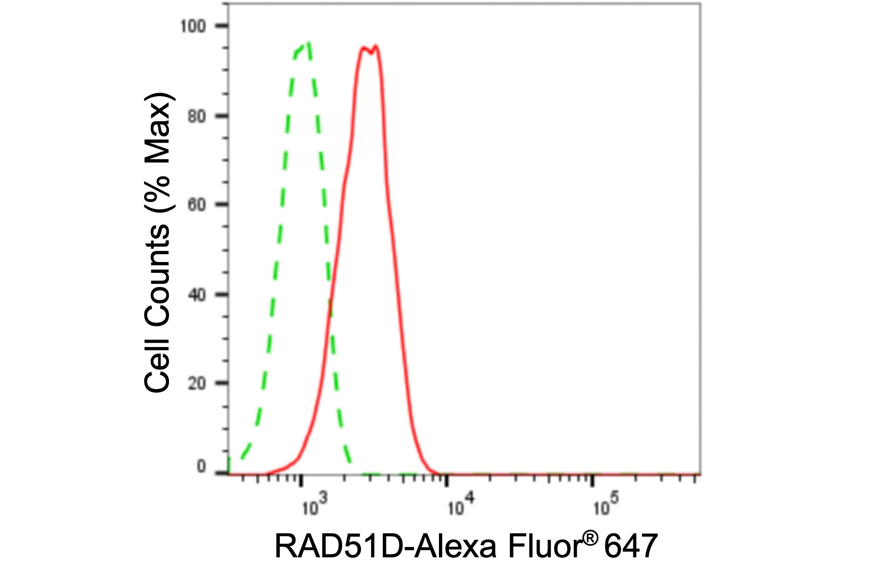 Rad51D Antibody (24GB5175)