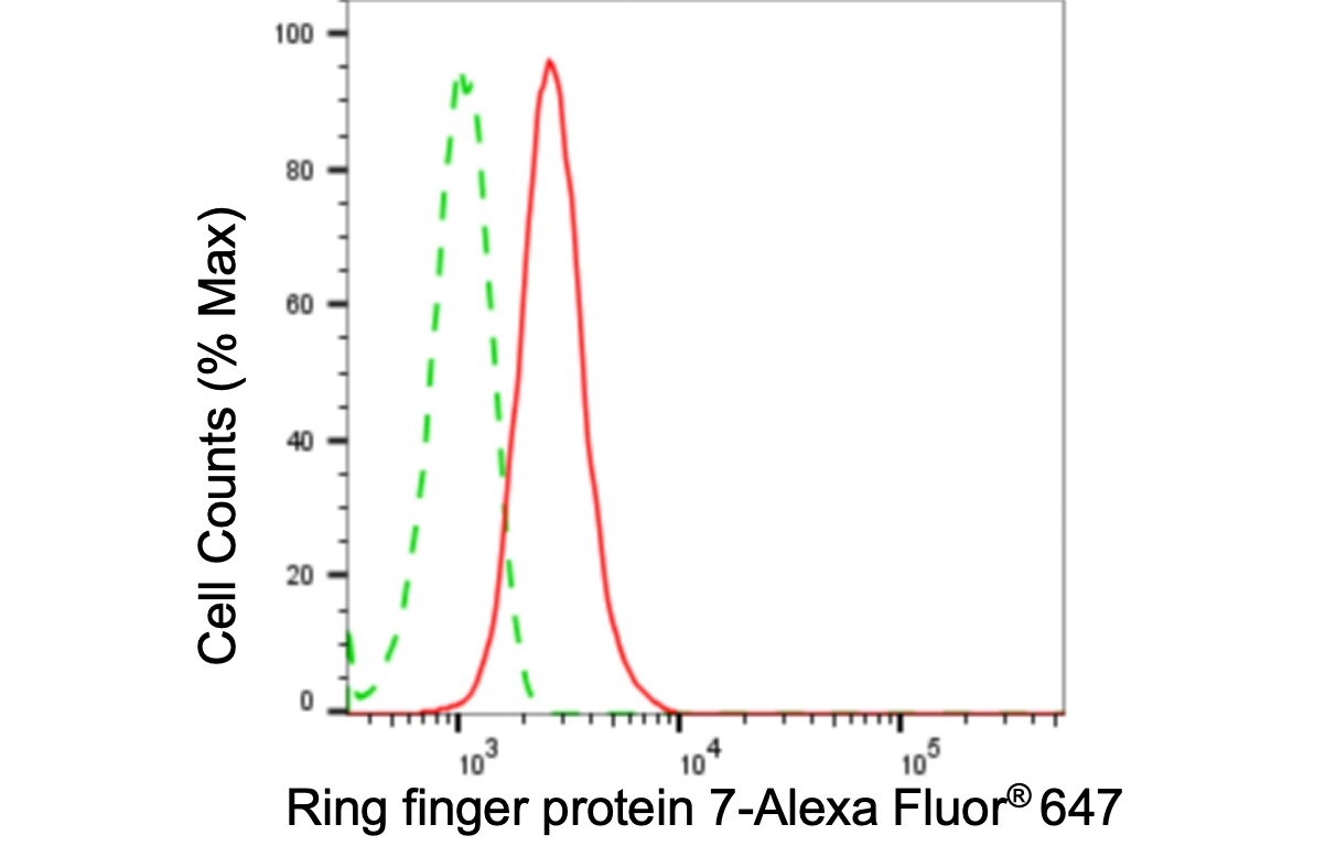RNF7 Antibody (24GB5200)