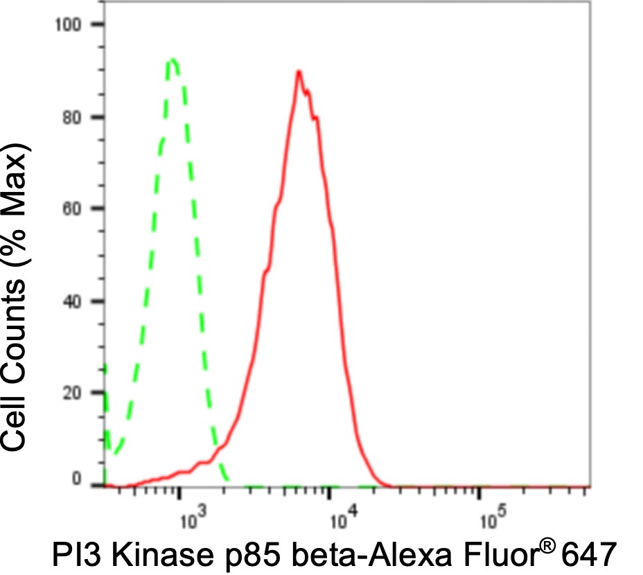 PI 3-Kinase p85 beta Antibody (24GB5210)