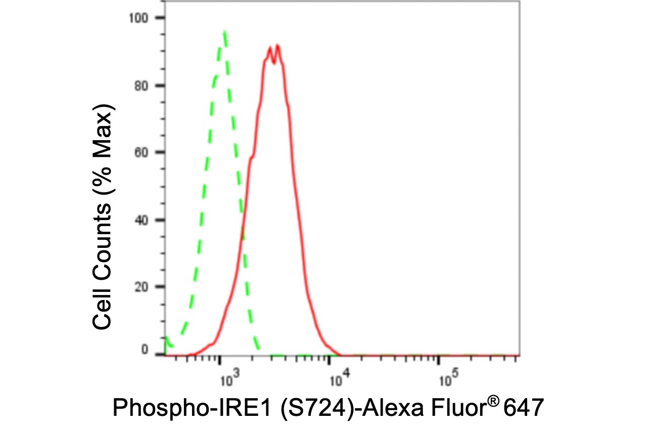 IRE1 [p Ser724] Antibody (24GB5220)