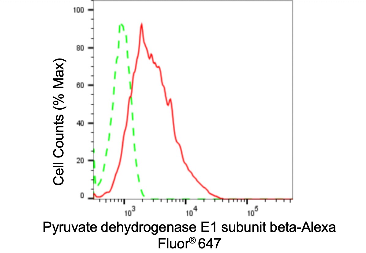 Pyruvate Dehydrogenase E1 beta subunit Antibody (24GB5250)