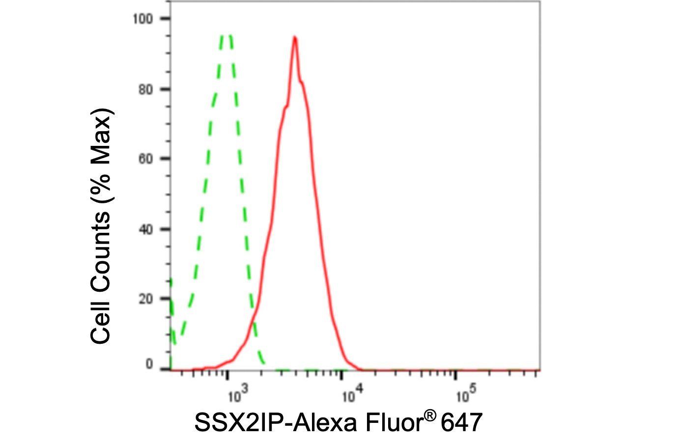SSX2IP Antibody (24GB5255)