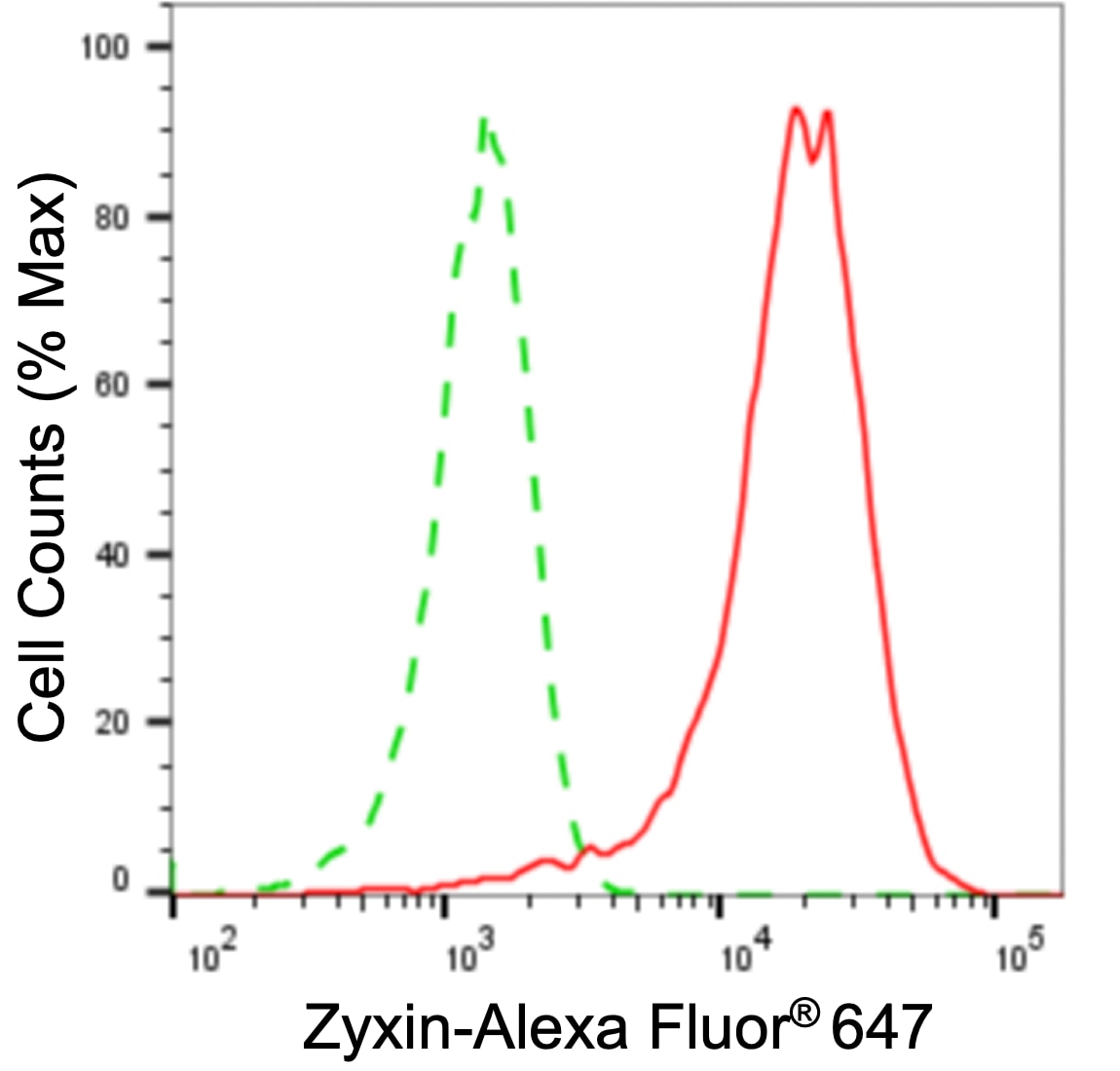 Zyxin Antibody (24GB5290)