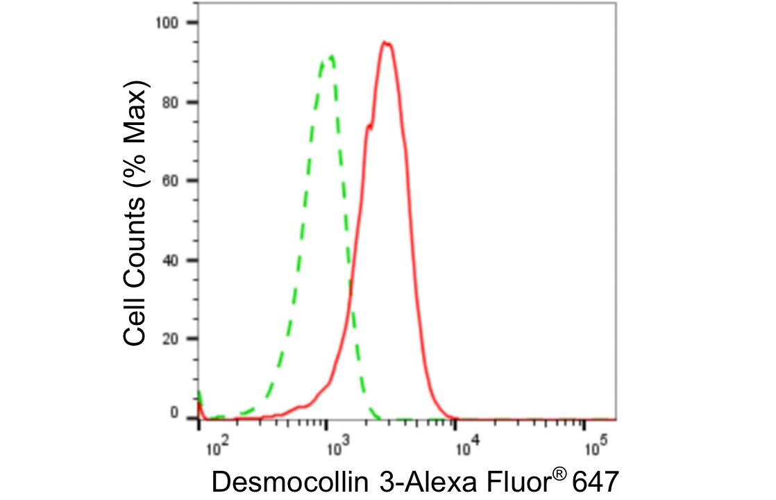 Desmocollin-3 Antibody (24GB5330)