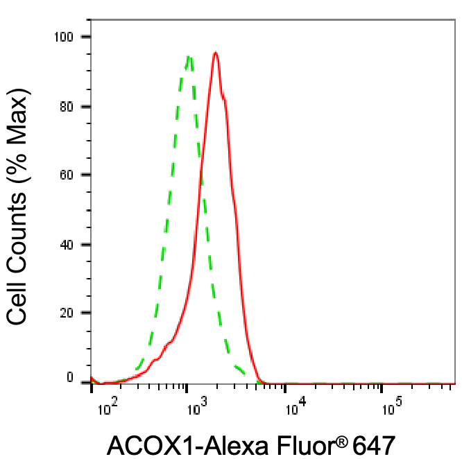 ACOX1 Antibody (24GB5340)