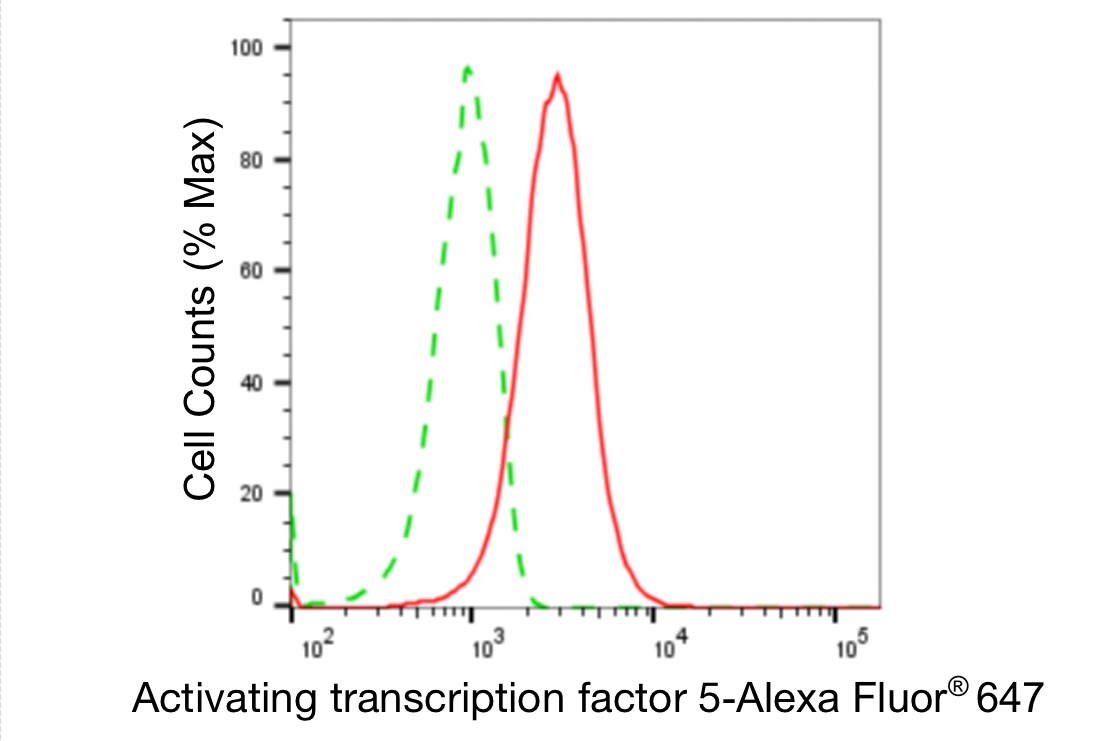 ATF5 Antibody (24GB5345)
