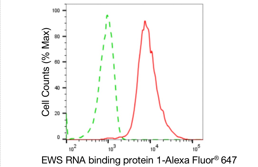 EWSR1 Antibody (24GB5385)