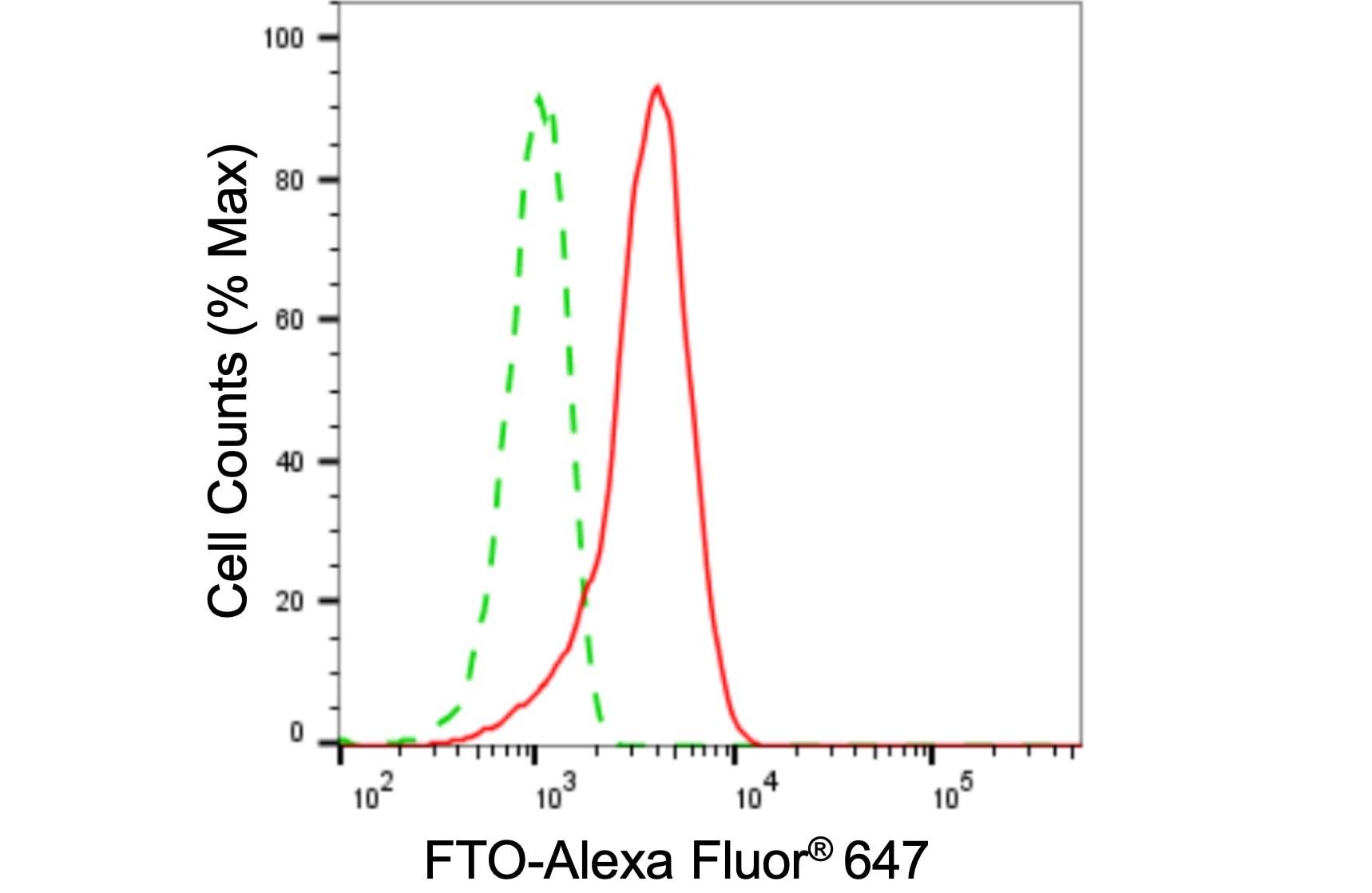 FTO Antibody (24GB5395)