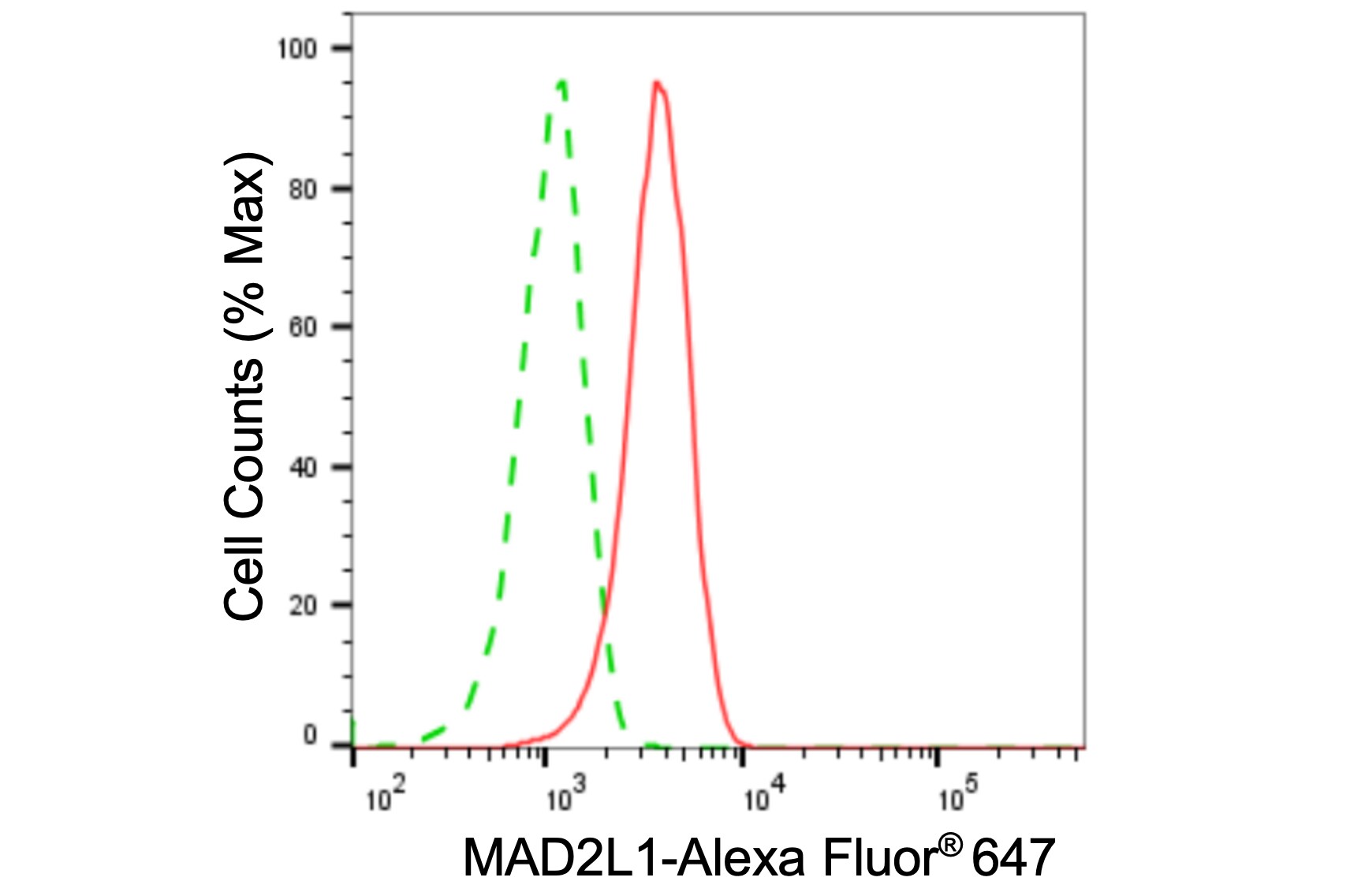 MAD2L1 Antibody (24GB5530)